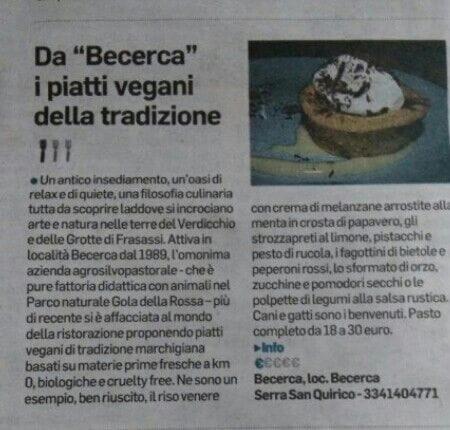 Imagen de la galería de Agriturismo Becerca Vegan, en Serra San Quirico