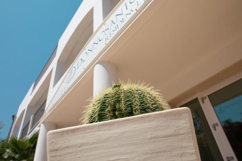 a potted plant sitting in front of a building at Donnosanto Residence in Torre Santa Sabina