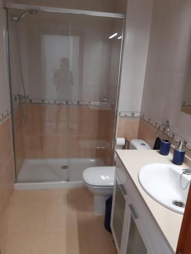 a bathroom with a shower and a toilet and a sink at Apartamento muy Coqueto in Bueu