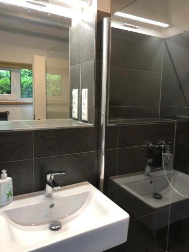 a bathroom with a sink and a mirror at Haus mit Bergblick in Siegsdorf