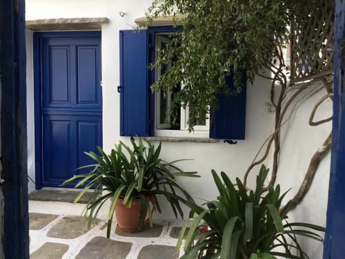 a blue door and window on a house with plants at Katina's garden studio in Tinos