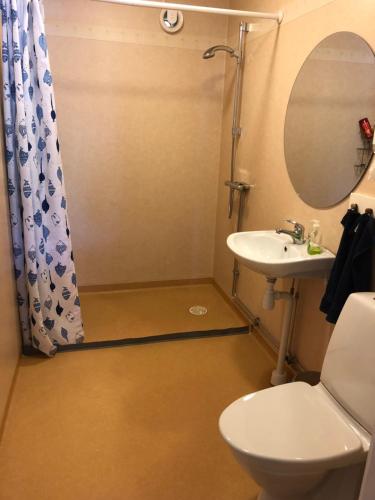 a bathroom with a shower and a toilet and a sink at Bergåsa bed & kitchen Drängsered in Torup