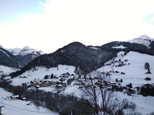 a small village in the snow with mountains at Appartement lumineux avec balcon à Arêches Beaufort in Beaufort