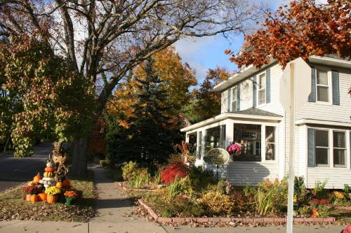 Κήπος έξω από το Serendipity Bed and Breakfast