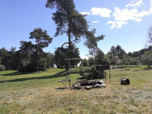 een speeltuin in een veld met een boom bij Rožu 20 in Mērsrags