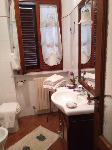 Vonios kambarys apgyvendinimo įstaigoje L'apparita Camere