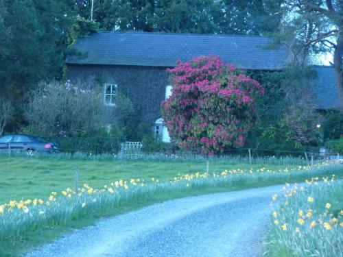 a dirt road in front of a house with flowers at Cullintra House in New Ross