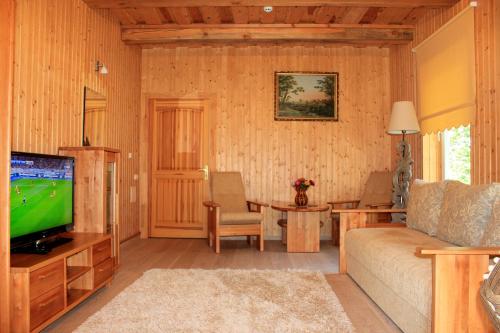 een woonkamer met een bank en een tv bij Imantas nams in Jūrkalne