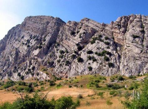 a large rocky mountain with trees in front of it at Le Terrazze Sul Pollino B&B in Civita
