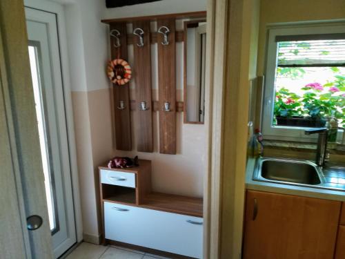 uma cozinha com armários de madeira e um lavatório em Apartma Škrilje em Gradac