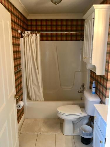 a bathroom with a white toilet and a shower at Downtown abode in the heart of the Bourbon Trail in Lebanon