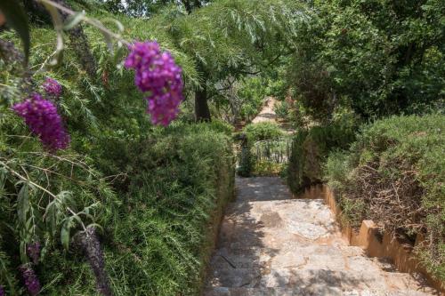 a path through a garden with purple flowers at Family Getaway in Marathon by GHH in Marathón