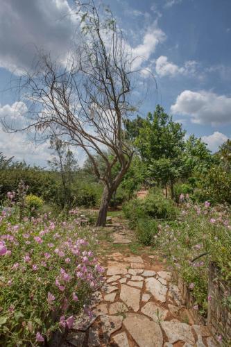 a garden with a tree and some flowers at Family Getaway in Marathon by GHH in Marathón