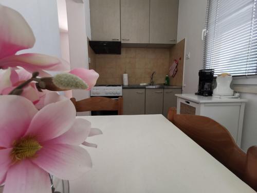 Foto dalla galleria di Apartments Ante a Lumbarda (Lombarda)