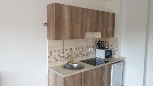a kitchen with a sink and a microwave at Tondo in Tivat