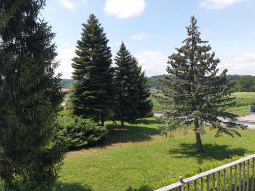 a group of pine trees in a yard at Apartman Max 2 in Biškupec Zelinski