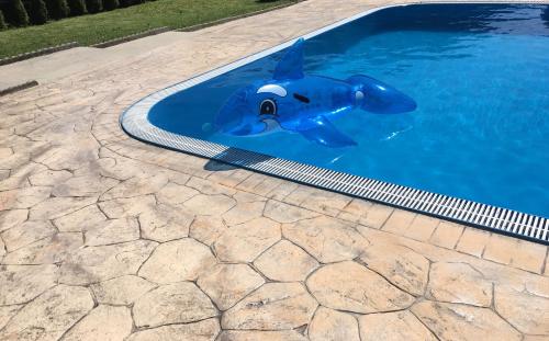 basen z niebieską zabawką dla delfina w obiekcie Pensiunea Casa Florela w mieście Căpuşu Mic