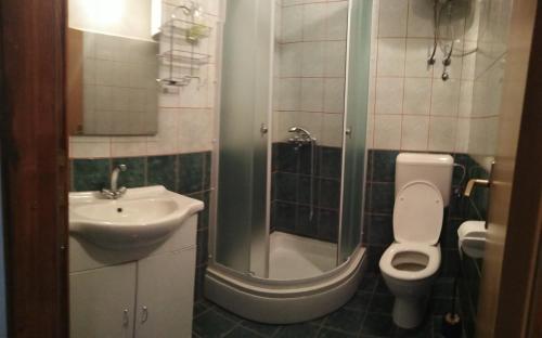 La salle de bains est pourvue d'un lavabo, de toilettes et d'une douche. dans l'établissement Apartman Rodić, à Omiš