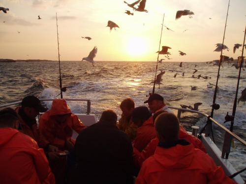 a group of people on a boat in the water with birds at Sea Lodge Smögen in Smögen