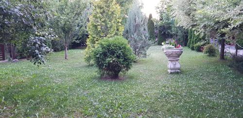 a garden with a planter and a bush in the grass at Pensiunea Edy Turda in Turda