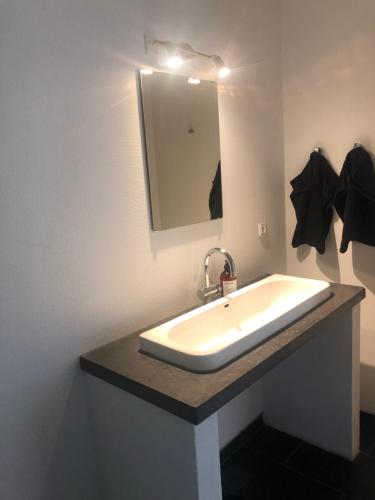 a bathroom with a sink and a mirror at Bjerrumgaard in Ribe