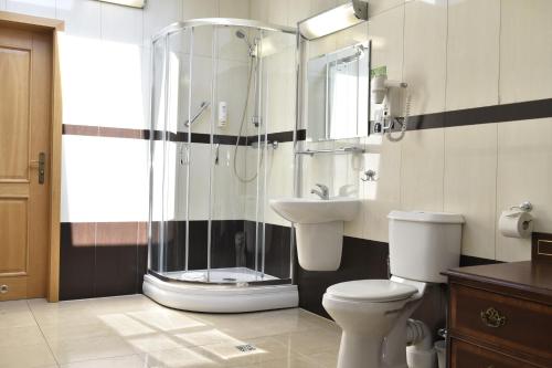 a bathroom with a shower and a toilet and a sink at Zielona Weranda in Wieluń