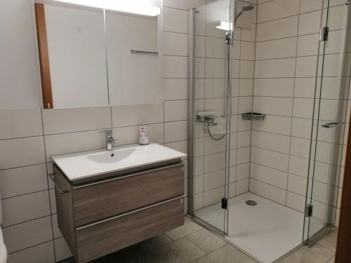 La salle de bains est pourvue d'un lavabo et d'une douche. dans l'établissement a casa, à Thalheim
