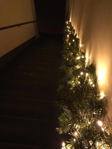a row of christmas trees with lights on them at Suites storica in Palazzo antico del 1858 in pieno centro in Agnone