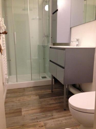 une salle de bain avec une douche, des toilettes et un lavabo dans l'établissement GITE BORD DE MER, à Bernières-sur-Mer