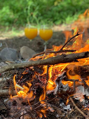 two glasses of orange juice are sitting on a fire at Caravana Juliana Hobby 545 z widokiem na Jezioro in Swaderki