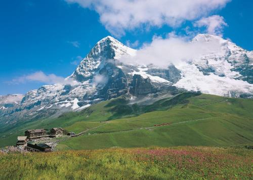 a mountain with a house in front of it at Jungfrau Hotel in Wilderswil
