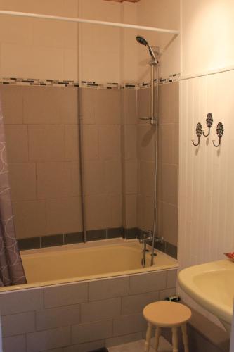 y baño con ducha, bañera y lavamanos. en Chambre cozy et Salon de 60 m2 au coeur de la cité, en Cordes-sur-Ciel