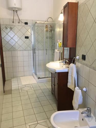 La salle de bains est pourvue d'un lavabo et d'une douche. dans l'établissement Case Vacanza Sa Mitza, à Villamassargia