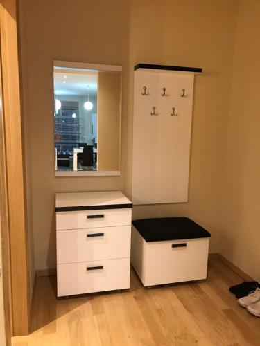 Cuisine ou kitchenette dans l'établissement Apartman Dragisic Kalman J15,D8