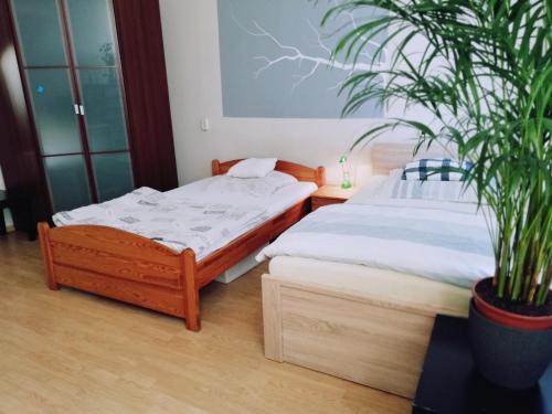 two beds in a room with a potted plant at Gdańsk in Gdańsk