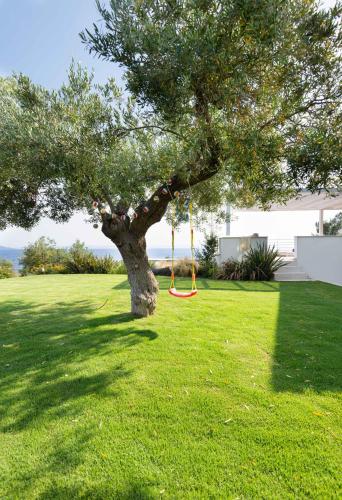 a tree in a yard with an orange swing at Akti Elia Villas Beachfront Chalkidiki in Elia