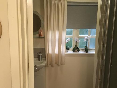 a bathroom with a sink and a window with flowers at Ivy Todd cottage in Debden