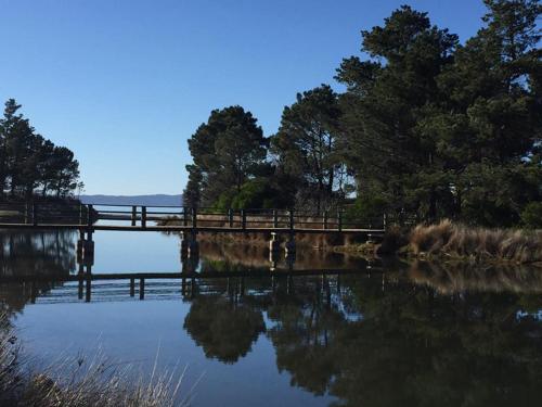 a bridge over a body of water with trees at Swansea Holiday Park Tasmania in Swansea