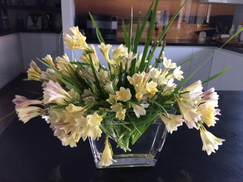 Imagen de la galería de ON Keppies - BnB - Family Farm & Wedding Guest Accommodation Paterson NSW, en Paterson