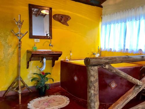 a bathroom with a large tub and a mirror at Pousada Recanto da Siriema in Monte Alegre do Sul