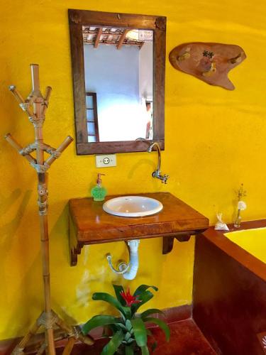 a bathroom with a sink and a mirror at Pousada Recanto da Siriema in Monte Alegre do Sul