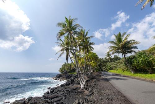 a road next to the ocean with palm trees at Hawaiian Sanctuary Eco Retreat Center in Pahoa