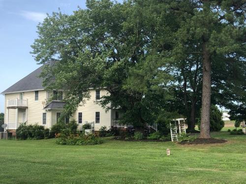 una casa blanca con un gran árbol en el patio en Ma Margarets House Bed and Breakfast, en Heathsville