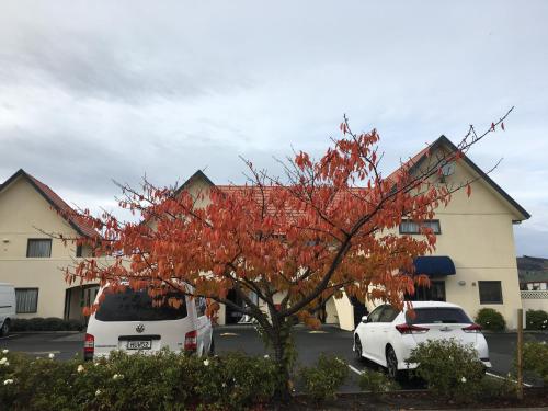 a tree with red leaves in front of a building at Bella Vista Motel Mosgiel in Mosgiel