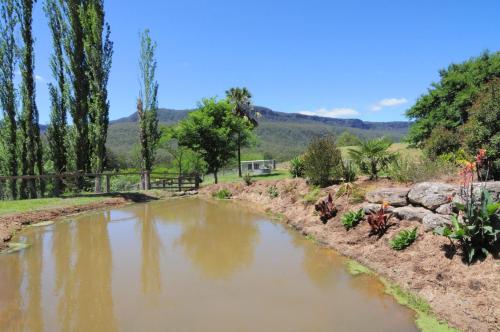 a pool of water in a garden with trees at Spring Grove Dairy Picturesque views in Upper Kangaroo River