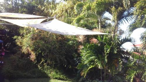 Gallery image of Shaka Shak Guest House in Hilo