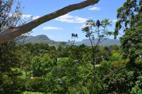 a view of the mountains from the forest at Treetops - Three bedroom home with great views, in the village! in Kangaroo Valley