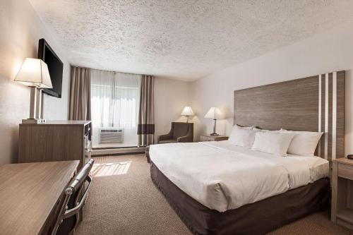 a hotel room with a large bed and a desk at Quality Inn Petoskey-Harbor Springs in Petoskey