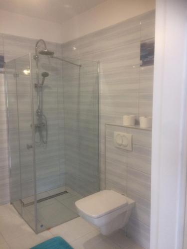 a bathroom with a toilet and a glass shower at Bednarzówka in Nowy Tomyśl
