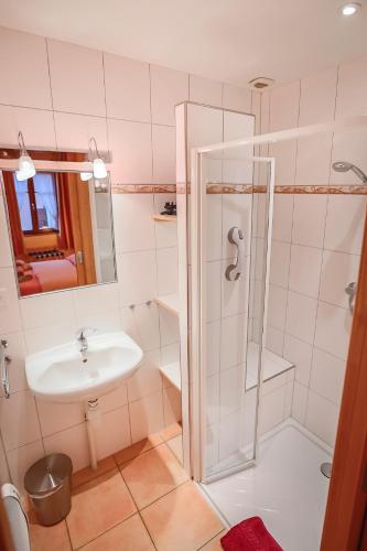 une salle de bain avec douche et lavabo dans l'établissement B&B Relais du Vigneron - Jean-Luc et Bruno Meyer, à Eguisheim